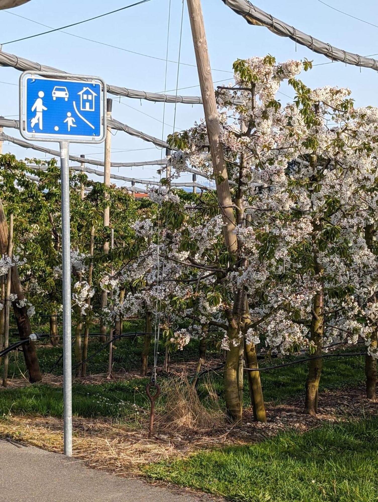 Kinderlachen Wasserburg Exterior foto